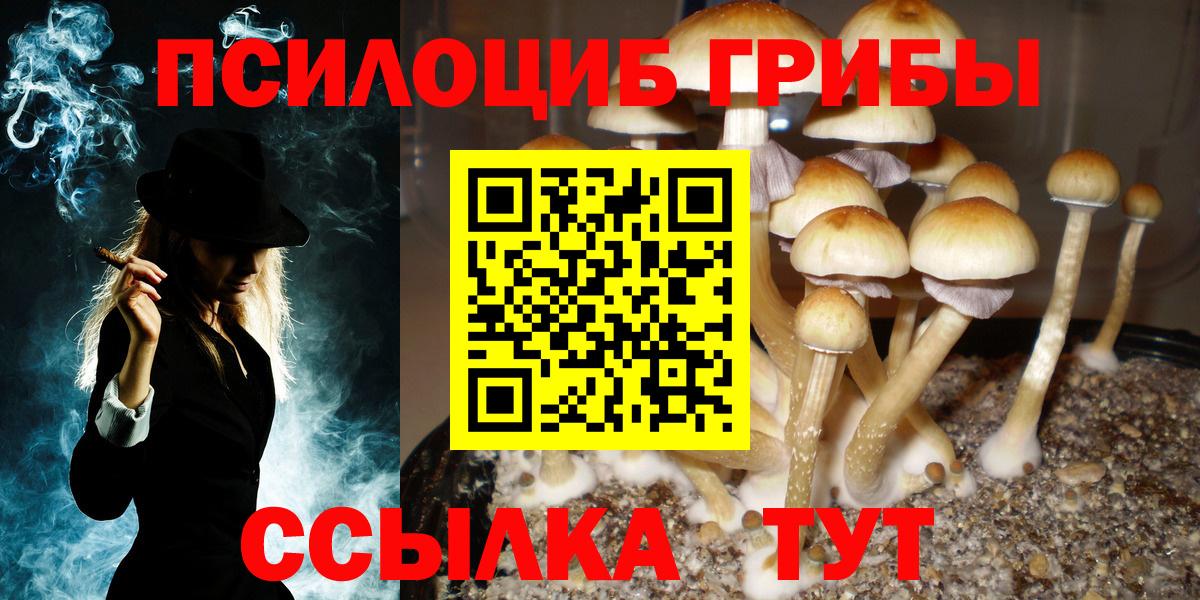 Галлюциногенные грибы мухоморы  Псилоцибиновые грибы Psilocybine cubensis  Вход с VPN  Владикавказ 